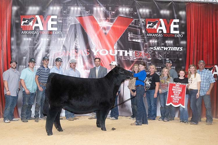 Grand Champion Owned Female